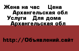 Жена на час. › Цена ­ 700 - Архангельская обл. Услуги » Для дома   . Архангельская обл.